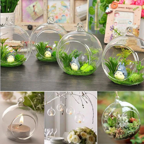 Terrario Colgante Totoro en Esfera de Vidrio – Mini Jardín Decorativo - Image 3